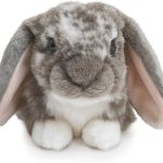 lapin doudou