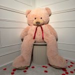 nounours