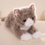 peluche chat