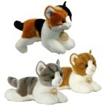 peluche chat