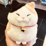 peluche chat