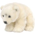 peluche ours